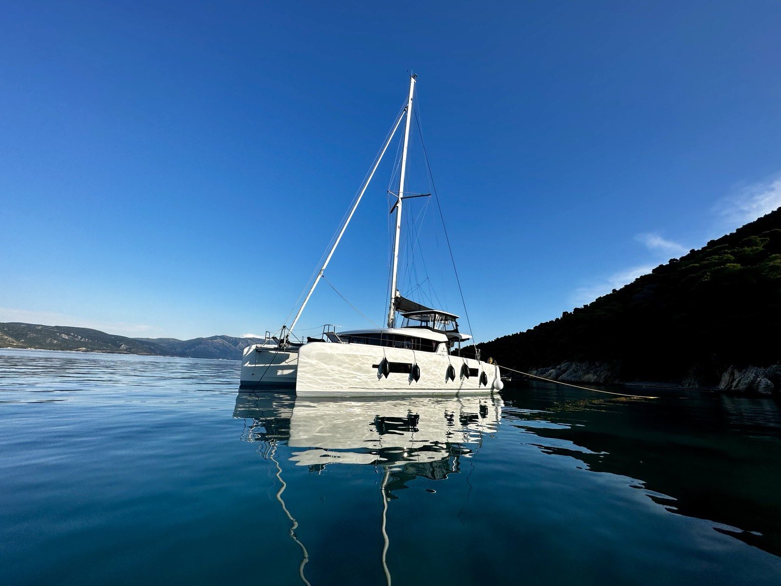 Mangusta