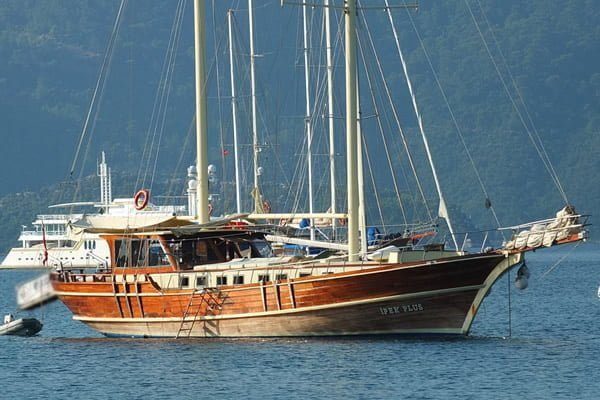 Ipek Plus