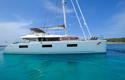 Adriatic Tiger