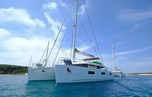 Adriatic Lion