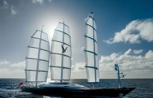 Maltese Falcon