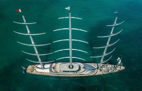 Maltese Falcon