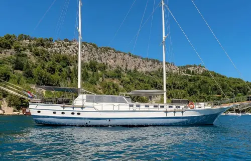 Nautilus