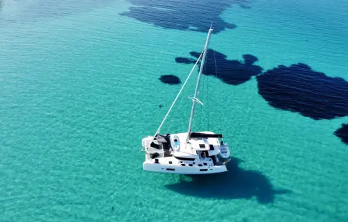 Mangusta