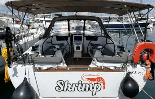 Shrimp