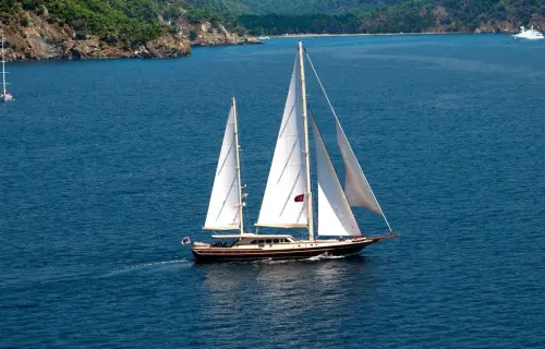 Daima