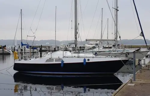 Hein Muck Amethyst 27
