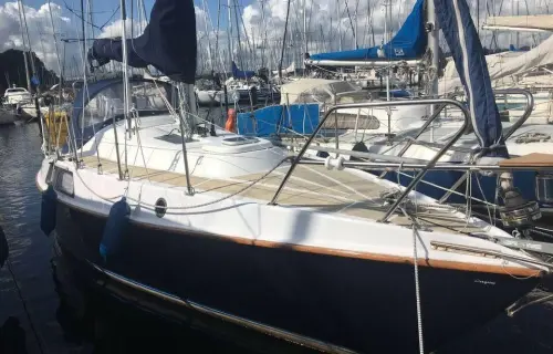 Hein Muck Amethyst 27