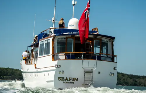 Seafin