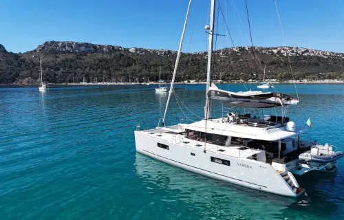 Taipan