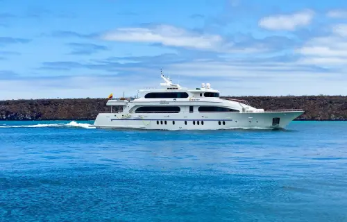 Grand Daphne