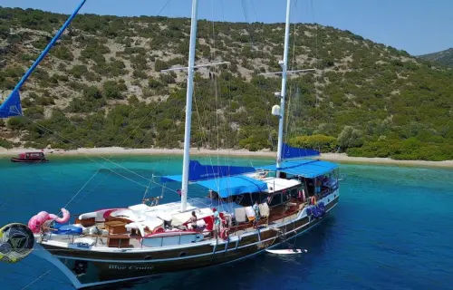 Blue Cruise