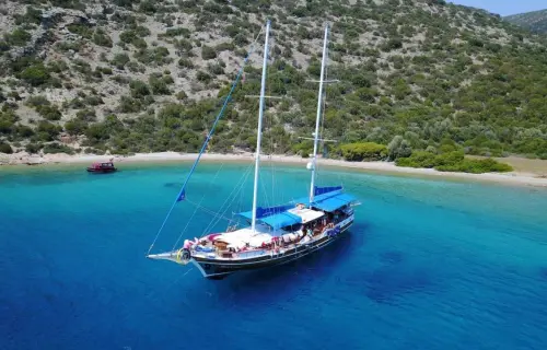 Blue Cruise