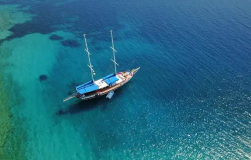 Blue Cruise