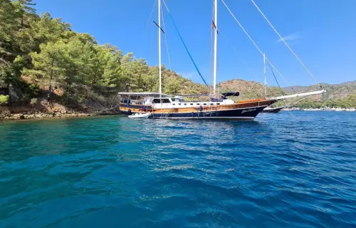 Blue Marlin