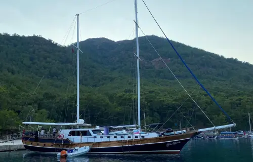 Blue Marlin