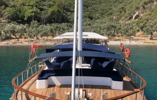 Blue Marlin