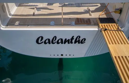 Calanthe