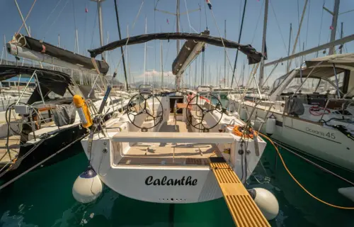 Calanthe