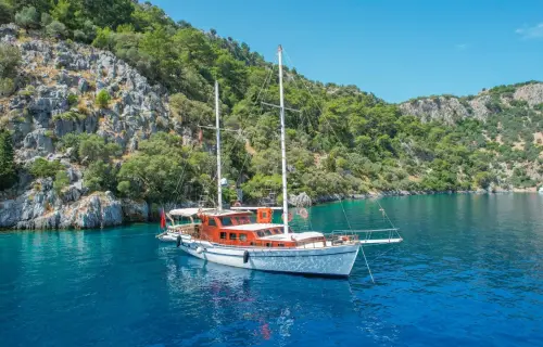 Calypso 1