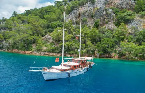 Calypso 1