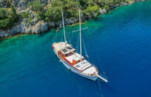 Calypso 1