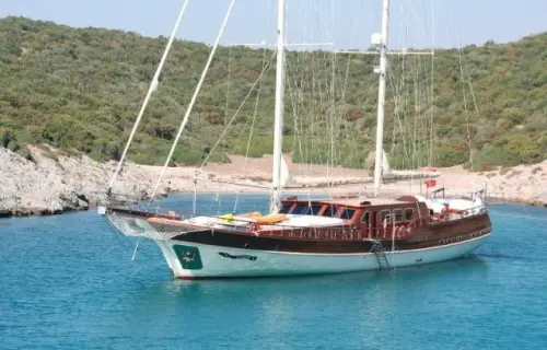 Caner 4