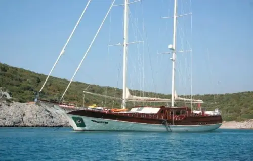 Caner 4