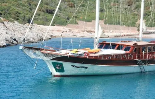 Caner 4