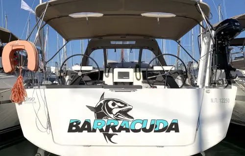 Barracuda