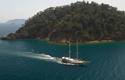 Kanarya