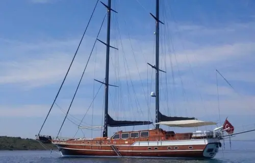 Kaya Guneri Plus