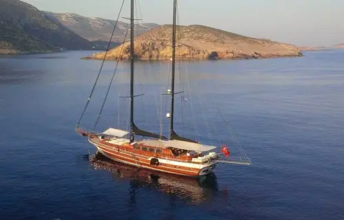 Kaya Guneri Plus