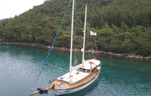 Lady Mistral