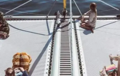 IQ