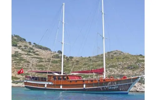 Ece Sultan