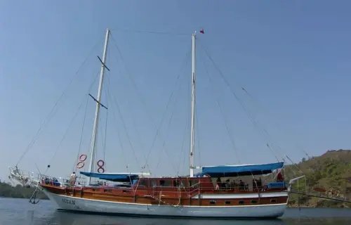 Altan 96