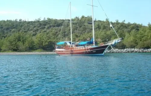 Gokce