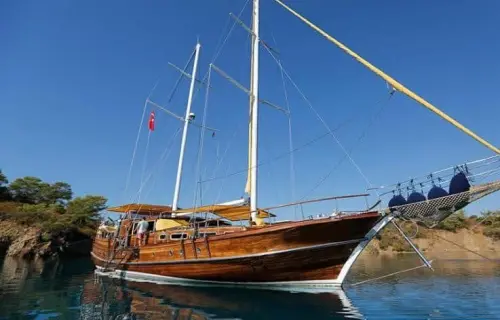 La Vicomtesse